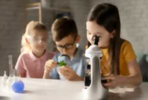 photo Atelier science : fabrique tes fossiles