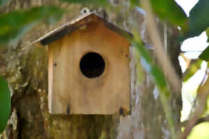 photo Aider les oiseaux en hiver : les vrais bons gestes