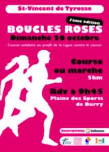 photo Les Boucles Roses