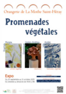photo Promenades végétales