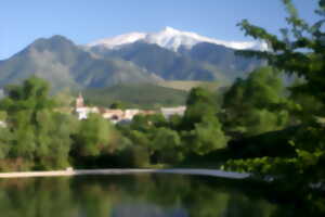 photo VISITE GUIDEE DE LA VILLE DE PRADES - Copie