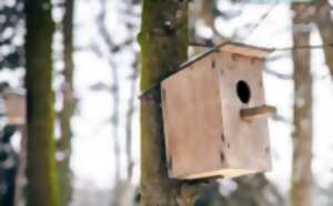 Des nichoirs en hiver pourquoi faire ?