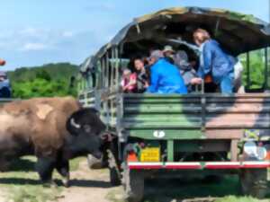 La Tournée des Fermes - Ranch des Bisons