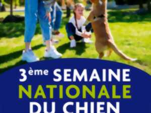 photo Semaine Nationale du Chien