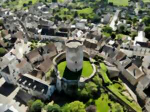 photo Visites guidée du donjon