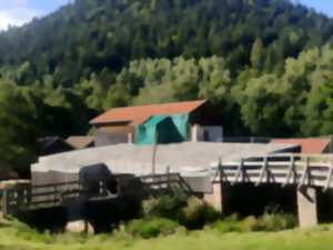 photo JEP : Site de la Scierie de la Hallière