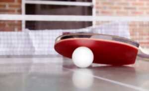 COURS DE PING-PONG LOISIR MENSUEL