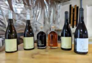 photo VIGNOBLES EN SCENE - SOIREE OENOLOGIE AUTOUR DES VIEUX MILLESIMES CHEZ LE MAS DU FIGUIER