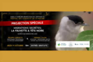 photo Festival de l'Oiseau et de la nature