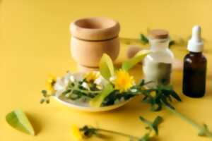 BALADE PLANTES MÉDICINALES ET COMESTIBLES