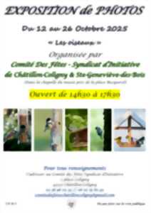 photo Expositions photos 