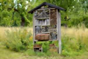 Semaine européenne du développement durable : Atelier création d'un gîte à insectes