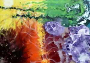 photo Atelier - Fleurs abstraites