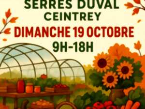 Marché d'automne aux Serres Duval