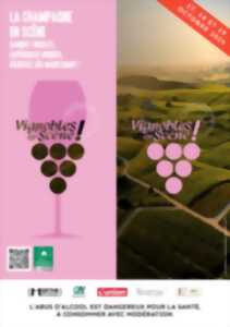 photo Vignobles en Scène : Dîner immersif dans les caves de Barfontarc