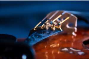 photo Spectacle musical interractif : 