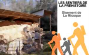 photo Visite accompagnée - Gisement La Micoque