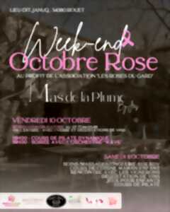 photo OCTOBRE ROSE : SOIRÉE CARITATIVE