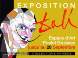 photo EXPOSITION DALI