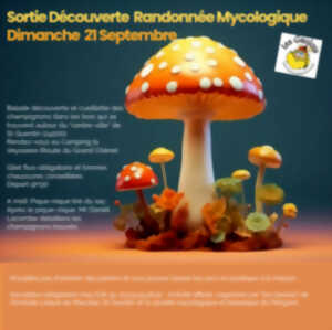 photo Sortie déouverte randonnée mycologique