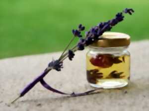 photo Atelier « Soulager les maux avec les huiles essentielles »
