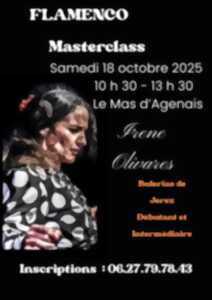 photo Flamenco - Masterclass au salon La Cuadra