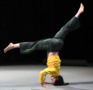 photo Spectacle danse 