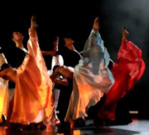 photo Spectacle danse 