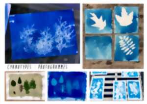 photo Atelier : à la découverte de   la technique du cyanotype