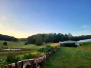 photo La Tournée des Fermes - Le Potager du Bitcherland