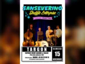 photo Sanseverino Shuffle Entreprise