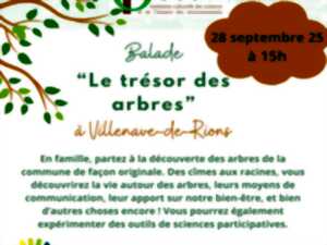 photo Balade « Le trésor des arbres »