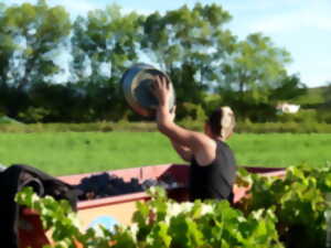 photo FETE DES VENDANGES
