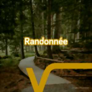 photo Randonnée pédestre
