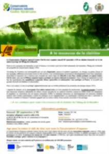 photo Chantiers d'automne