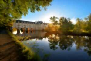 photo Randonnée en famille au bord du Cher : de Francueil à Chenonceau