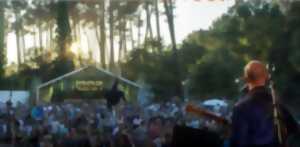 photo Banana Festival #6