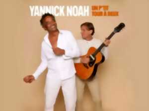 photo Concert - Yannick Noah