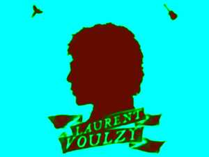 photo Concert - Laurent Voulzy