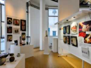 photo Exposition - Salon de Noël