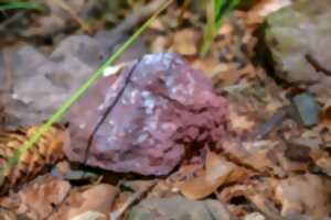 photo Dix ans d'archéologie dans la vallée de la Bruche
