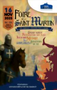 photo FOIRE DE LA ST MARTIN - FÊTE MÉDIÉVALE