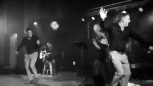 photo Les jumeaux en concert
