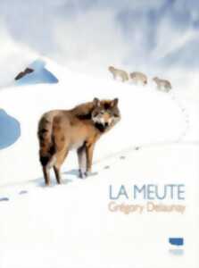 photo Des Loup au Muséum