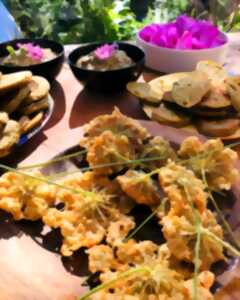 photo Atelier cuisine sauvage d'automne avec Lucie MOSSE
