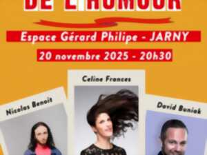photo La grande nuit de l'humour
