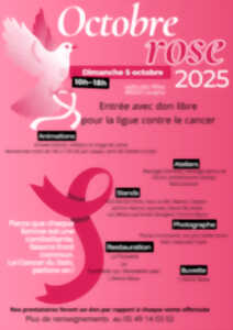 photo Octobre rose
