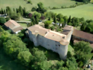 photo JEP 2025 - CHÂTEAU DE MÉZERVILLE