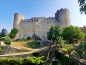 photo JEP 2025 - VISITE GUIDÉE - CHÂTEAU VILLEROUGE