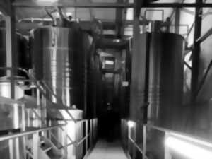 photo VES 2025 - L'AME DU CHAI - VISITE EXCLUSIVE